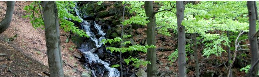 Raf-Ekologia - Spalarnia Odpadów Przemysłowych i Medycznych